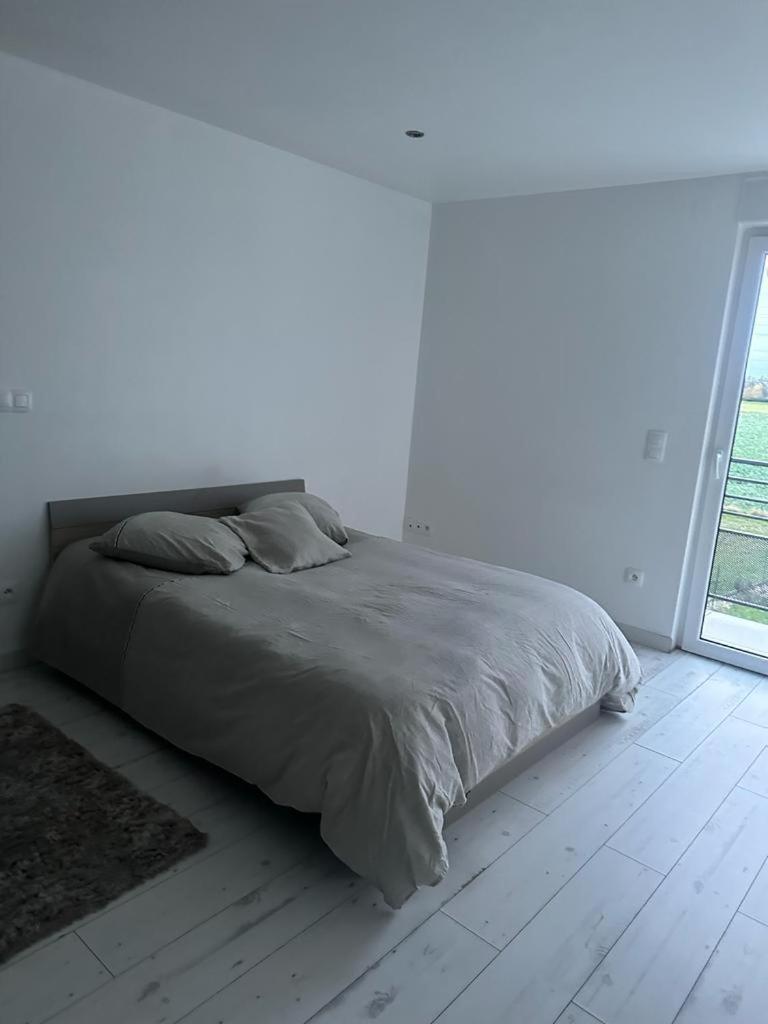 Residence Foch Линголсхайм Екстериор снимка
